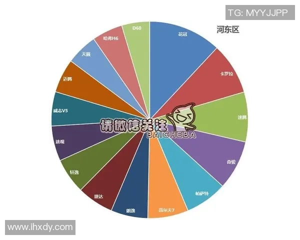 独家分析：成都乒乓球队的力量对比